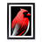 FRM-V0523-351X Cardinal Bird Abstract - Single Picture Frame Print-1212114112-1212114114