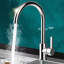 Sertoma Pull Down Single Lever Monobloc Tap