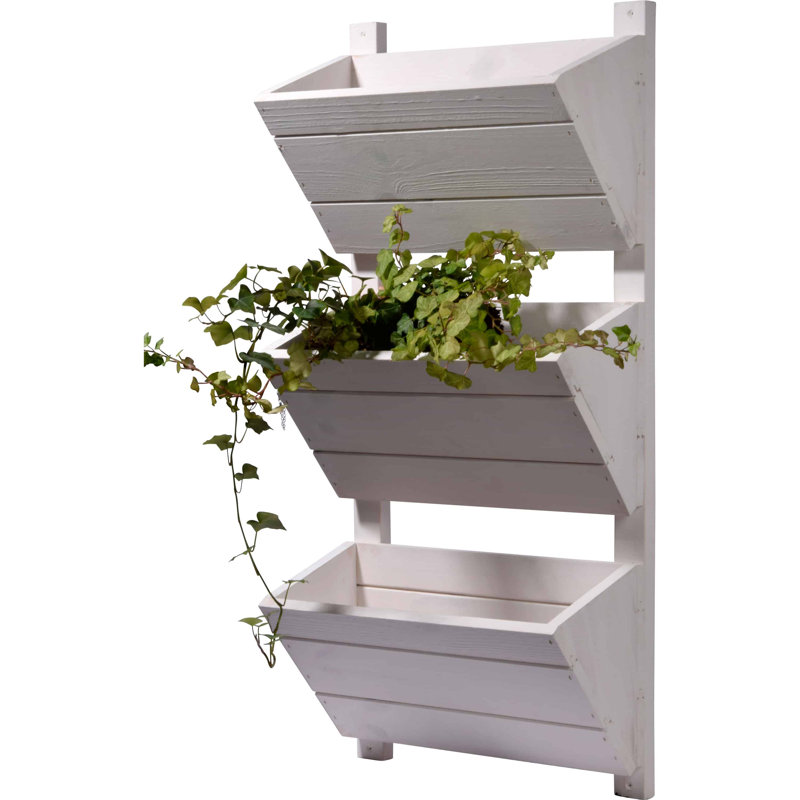 Aakanksha Handmade Wood Wall Planter, White
