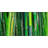 Bamboo Plant - Landscapes Botanical Framed Canvas Decor