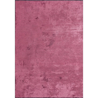 Minimalist Solid Color