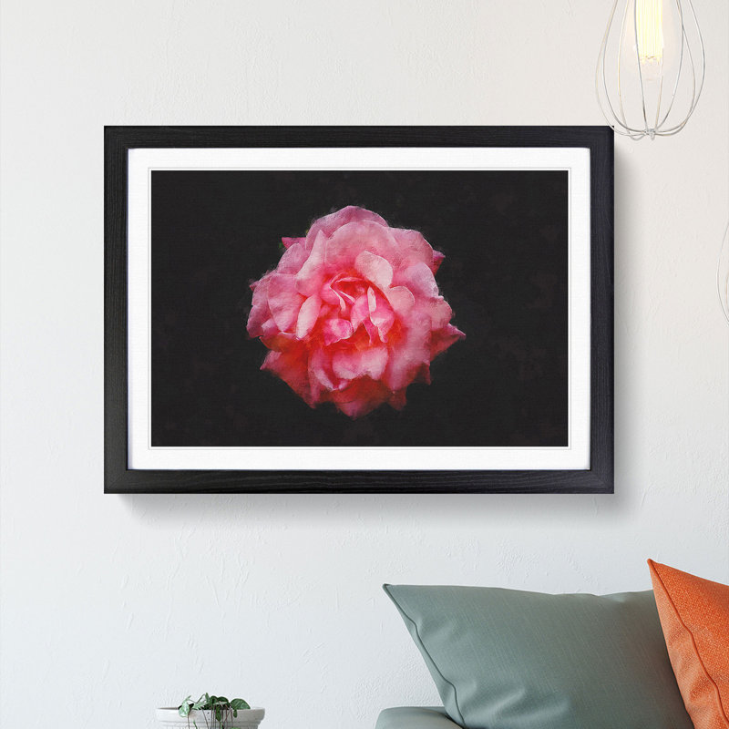 Lone Pink Carnation - Picture Frame Graphic Art Print, Black Framed, 62cm H x 87cm W x 2cm D