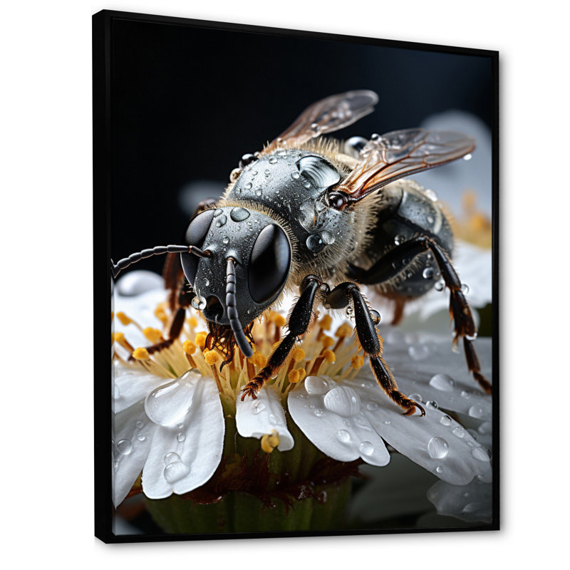 Jayloni " Animal Insects Bugs National I " Print, 40" H x 30" W x 1.5" D, Black Floater Frameed Canvas