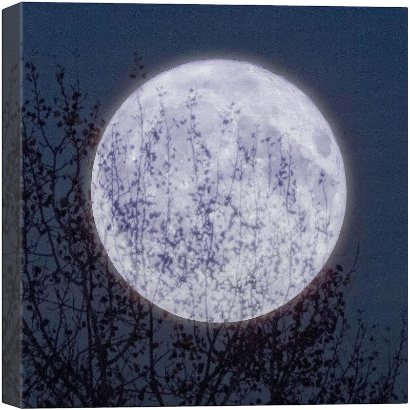Mystic Blue Moon Sky Autumn Fall Tree Silhouette sur impression sur toile, H 12 po x l 12 po x P 1,5 po