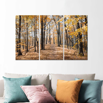 «Autumn Forest Landscape», impression sur toile 3P