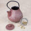 Seren 1.25 Qt Kyusu Cast Iron Tea Pot with Removable Stainless Steel Infuser Basket