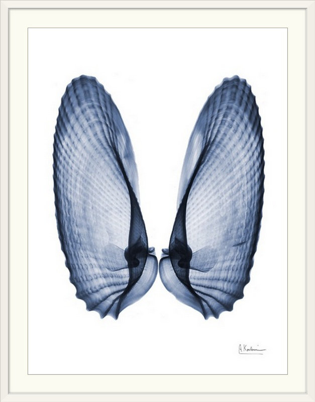 «Angel Wings» par Byer, reproduction de photo, H 24 po x l 20 po x P 1 po, Cadre blanc