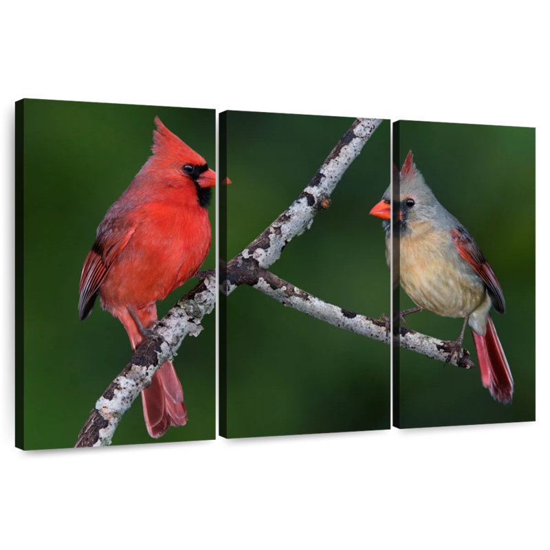 Brampt Pair Of Cardinal Birds, 20" H x 33" W