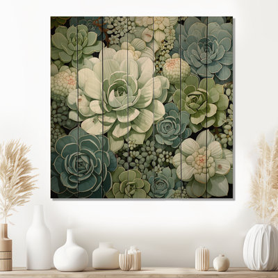 " Green Succulents Flowers Serene Succulents IV "