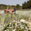 Jardine Tablecloth-1661402681
