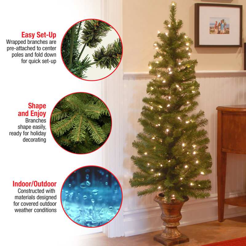 The Holiday Aisle® Montclair Spruce Entrance Tree with Clear Lights, 5'