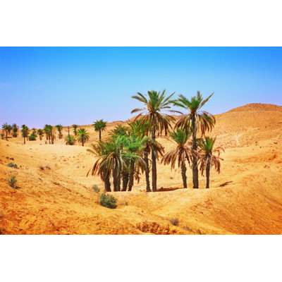 Thetford Sahara Desert - Wrapped Canvas Print