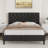 Bed Frame with Headboard, Upholstered Platform Bed with Button Tufted Desigh-93033506-93033533