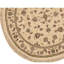 Hand Knotted Area Rug in Ivory