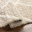 Beyanka Geometric Machine Tufted Area Rug-1978223883