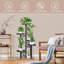 Plant Stand - Set of 6