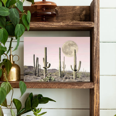 «In the Cactus Desert», art mural contemporain