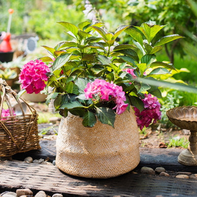 Pot de fleurs en béton Kolbi