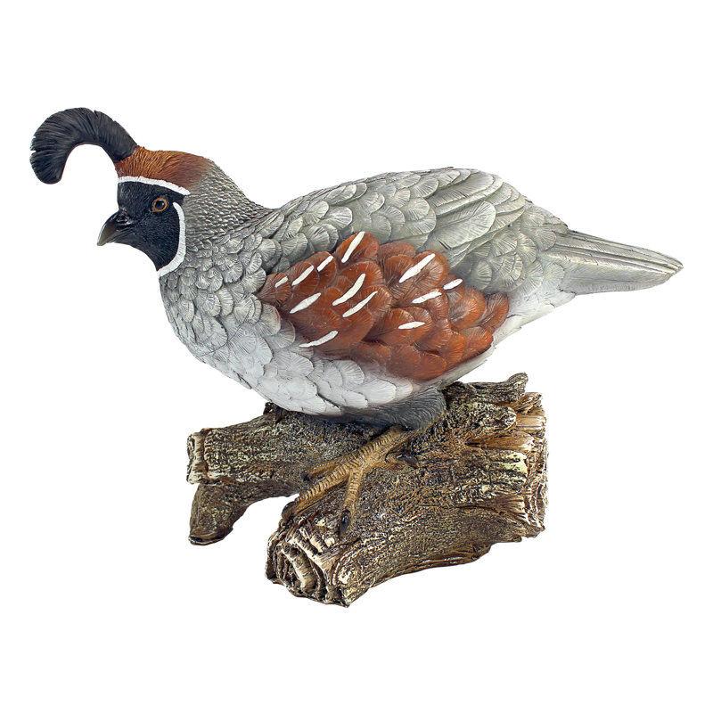 Statue oiseau à quail coco