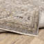 Tapis oriental beige / gris Atherine-1609882469