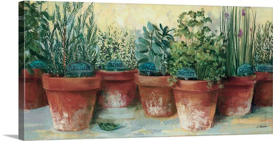 « ii » par carol rowan print Potted Herbs, 30 po H x 60 po l x 1,5 P, Toile