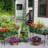Mckayla 61 in. H x 13 in. W Iron Obelisk Trellis