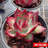 Echeveria Jinghong Fairy Live Succulent, Decorative Indoor Plant for Tabletop & Home Garden