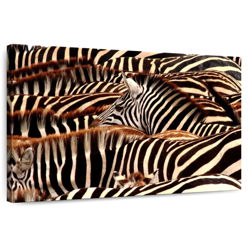 Brampt Serengeti Zebra Stripes, 16" H x 24" W