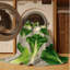  Tapis lavable lavable Butterhead-574812839