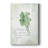 Fresh Parsley -Gallery Wrapped Cavas-1148753432