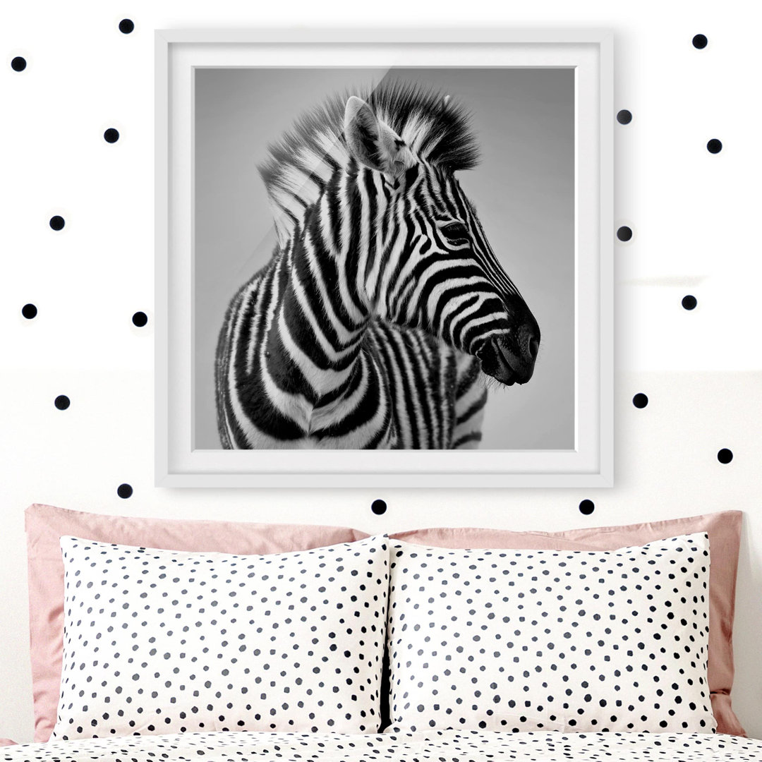 Gerahmter Fotodruck Baby Zebra Portrait II