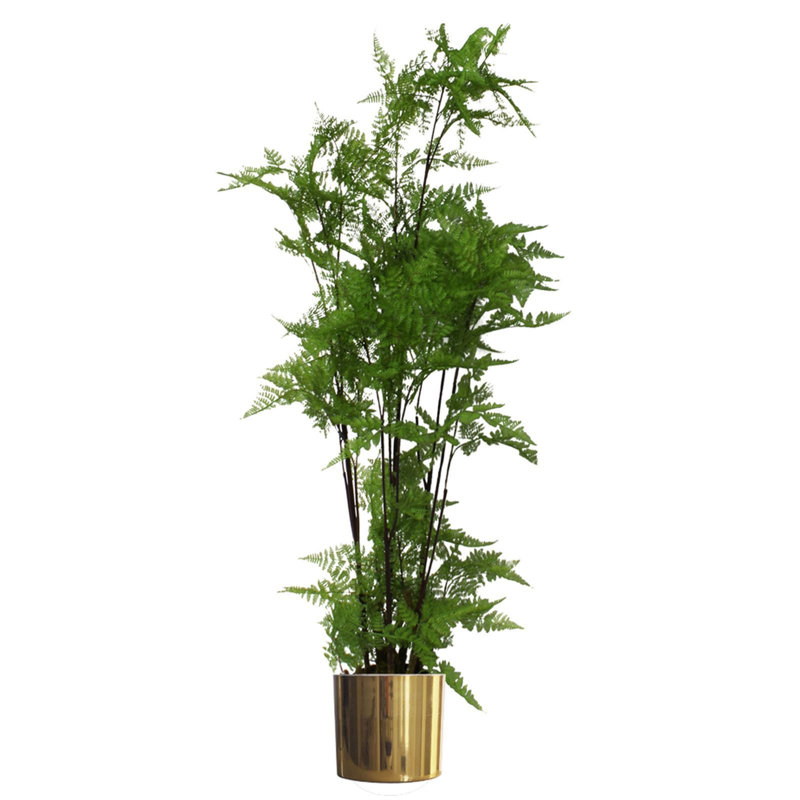150cm Faux Plant in Metal Planter, Gold