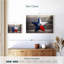 «Sebbie Texas Lone Star»-107960614