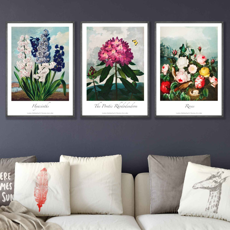 Vintage Cottage Garden Flowers Set by Robert John Thornton - 3 Piece No Frame Painting Set, 50cm H x 120cm W