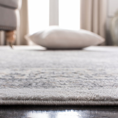 Delmer Performance Oriental Rug
