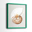Nautilus - reproduction encadrée de qualité supérieure - prête à être accrochée - aucun clou requis - aucun clou requis-1067668005-1067668006