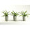Faux Foliage Plant in Concrete Pot