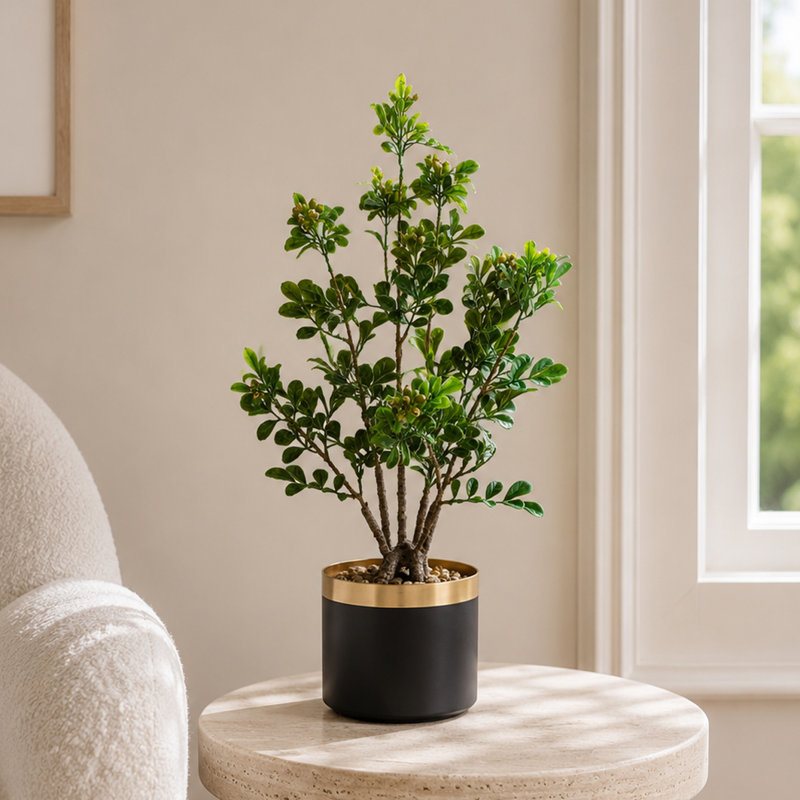 Eucalyptus Arrangement in Pot