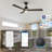 Elimelech 48'' Ceiling Fan with LED Lights