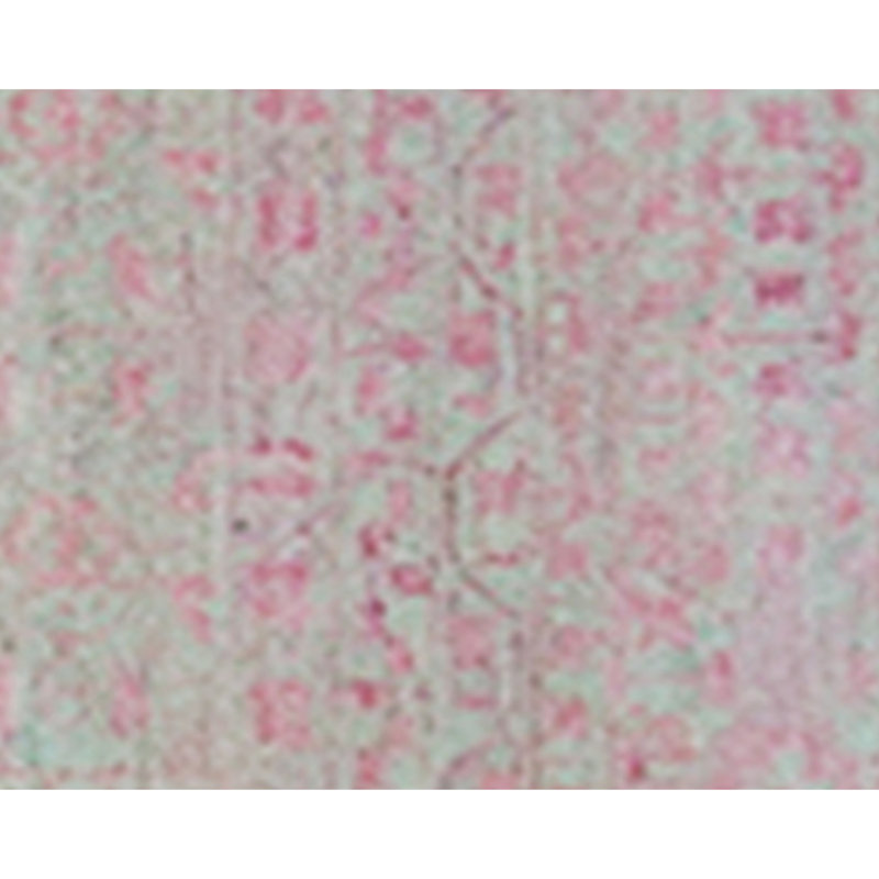 Area Rug in Pink, Rectangle 10' x 14'