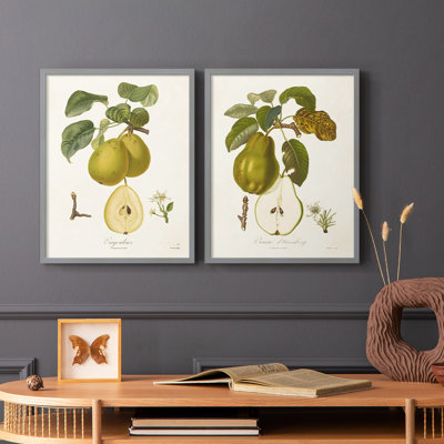 Vintage Pears III - reproduction encadrée de qualité supérieure - prête à être accrochée - aucun clou requis - aucun clou requis