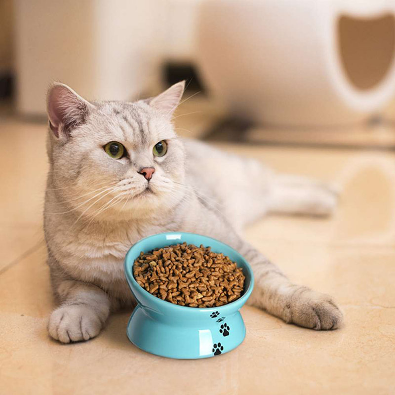 Ergonomic Tilted Cat Bowl for Spinal Health - 5 Inch, 1-Piece, Ceramic, Blue