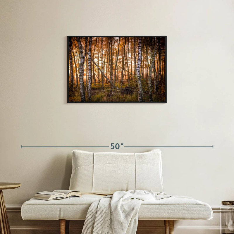 Forêt de bouleaux sombre, Cadre flottant noir, 31 po x 21 po