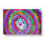 Rainbow Swirls In Abstract - Wrapped Canvas Print-55340806