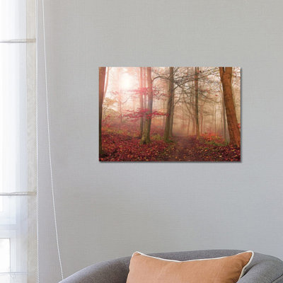 Forest Scene 1 Piece Wrapped Canvas Wall Art
