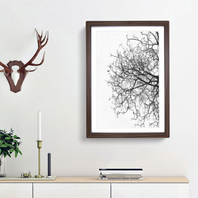 Bare Tree - Picture Frame Graphic Art Print