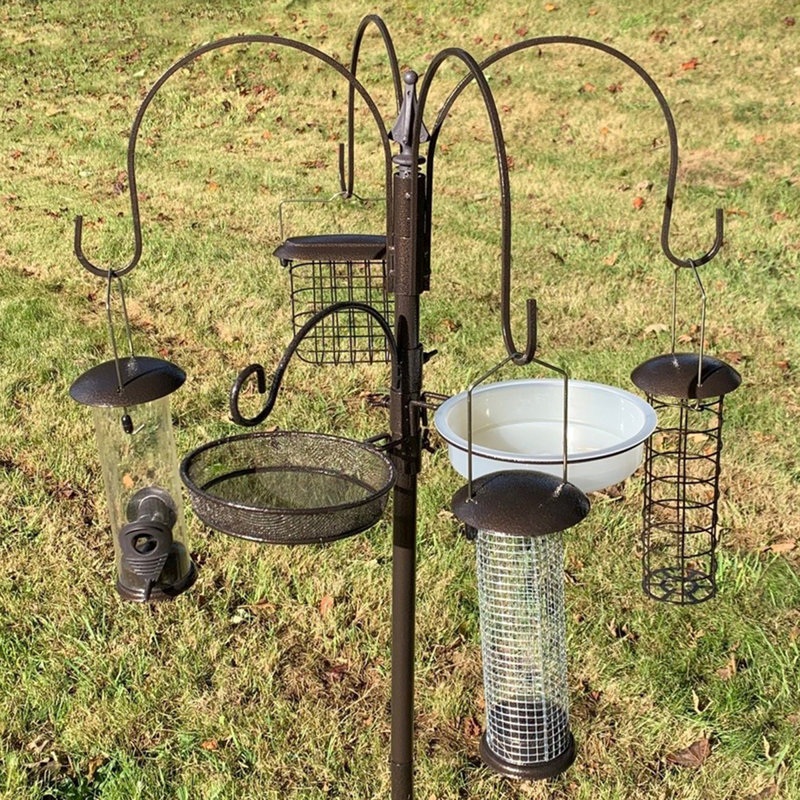 Pinheiro Steel Feeding Station