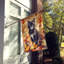 Chat en feuilles d'automne-112700528