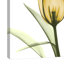 Live Passionately Tulips - Wrapped Canvas Print-641436407