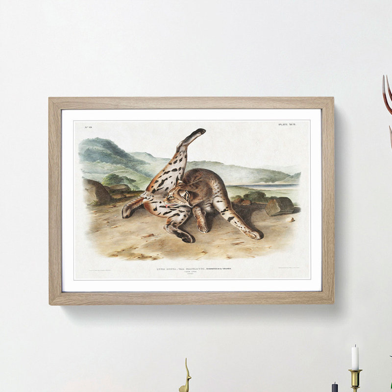 Texan Lynx by J.W. Audubon - Picture Frame Art Print, 36cm H x 48cm W x 2cm D, Oak Framed